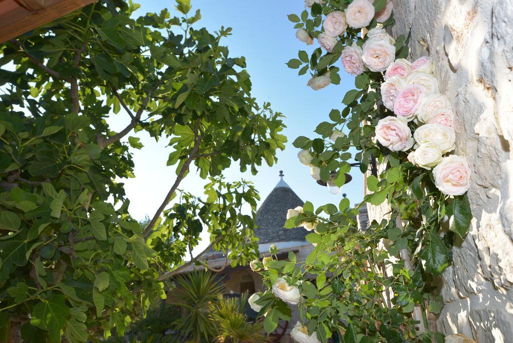 Masseria Pentima Vetrana Resort ألبيروبيللو المظهر الخارجي الصورة