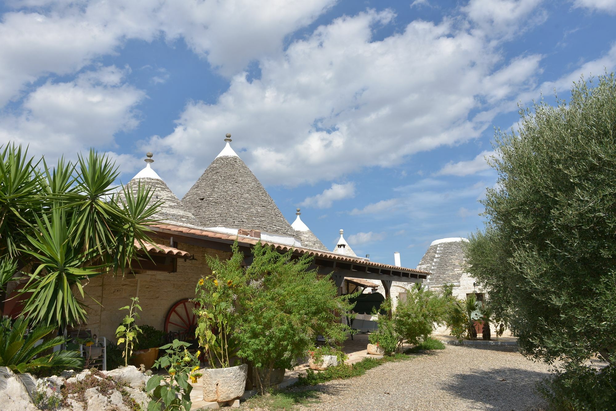 Masseria Pentima Vetrana Resort ألبيروبيللو المظهر الخارجي الصورة