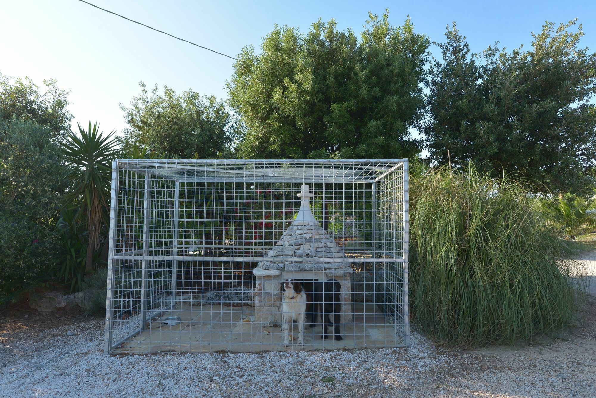 Masseria Pentima Vetrana Resort ألبيروبيللو المظهر الخارجي الصورة